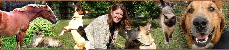 Laura Rowley, Animal Communicator