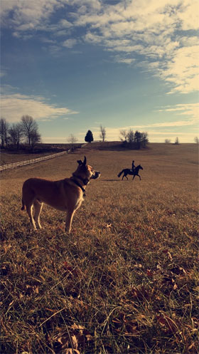 Connect with your horse